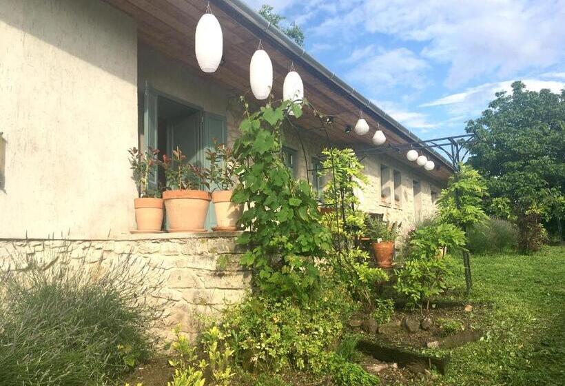 膳宿费 Hungry Grape Guests