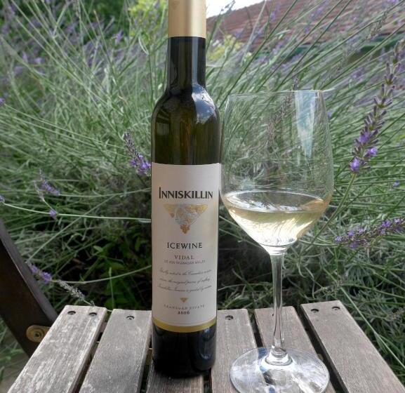 膳宿费 Hungry Grape Guests