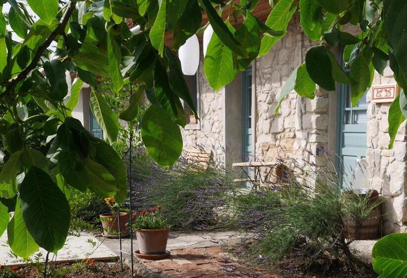 膳宿费 Hungry Grape Guests