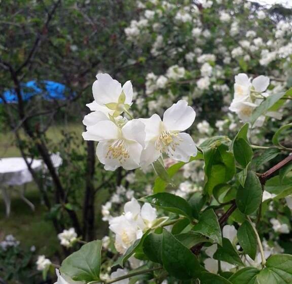 פנסיון La Maison De Marie Jeanne   2 Chambres   Table D Hôtes