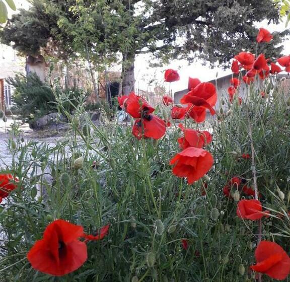 פנסיון La Maison De Marie Jeanne   2 Chambres   Table D Hôtes