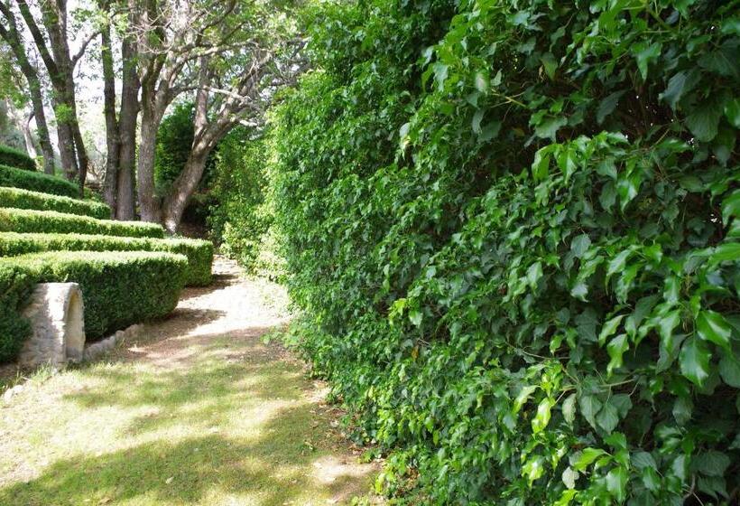 ペンション Les Chambres D Hôtes De Valensole Au Pays Des Lavandes Et Proche Des Gorges Du Verdon