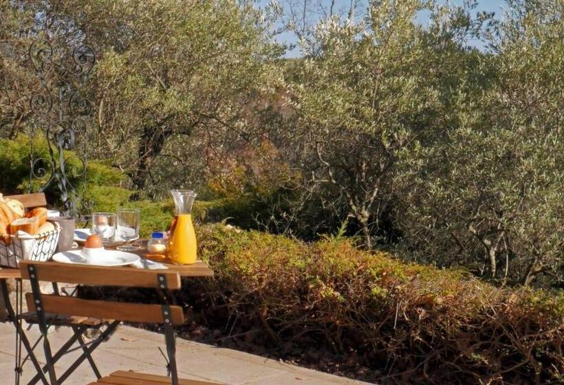 ペンション Les Chambres D Hôtes De Valensole Au Pays Des Lavandes Et Proche Des Gorges Du Verdon