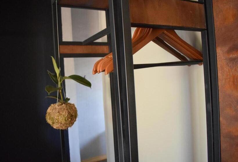 بنسيون Nooitgedacht Town Lodge