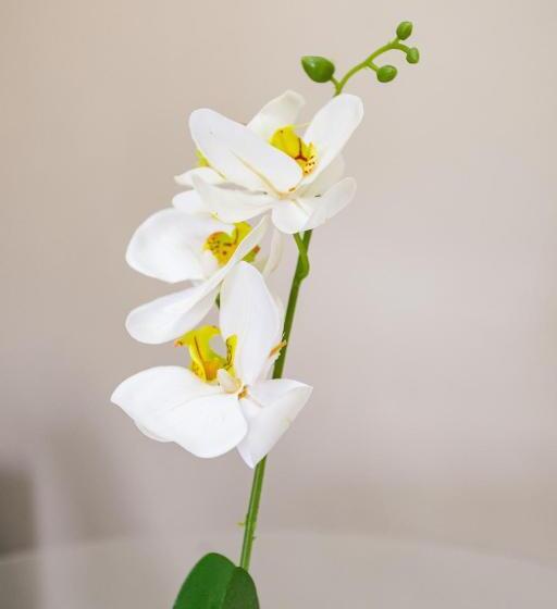 膳宿费 The Hide On Kilburn