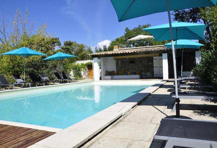 بنسيون Un Je Ne Sais Quoi De Paradis