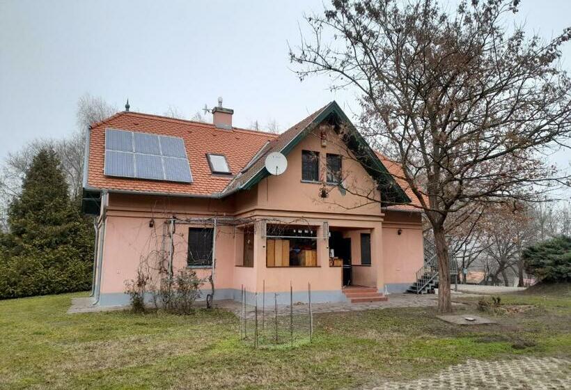 بنسيون Vendégház A Csabay Kúriához