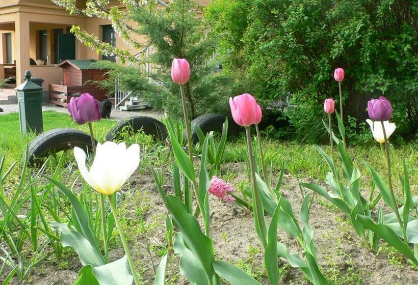 بنسيون Vendégház A Csabay Kúriához