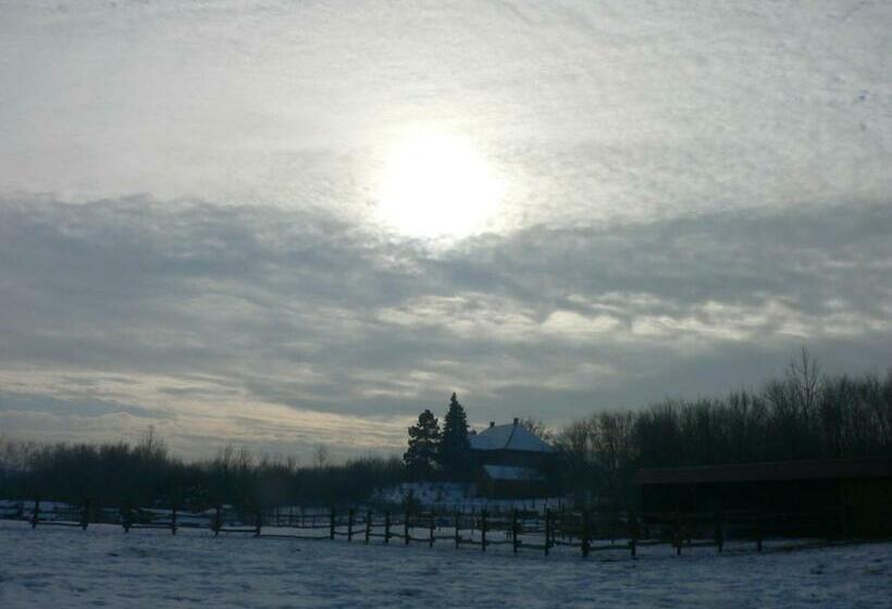 بنسيون Vendégház A Csabay Kúriához