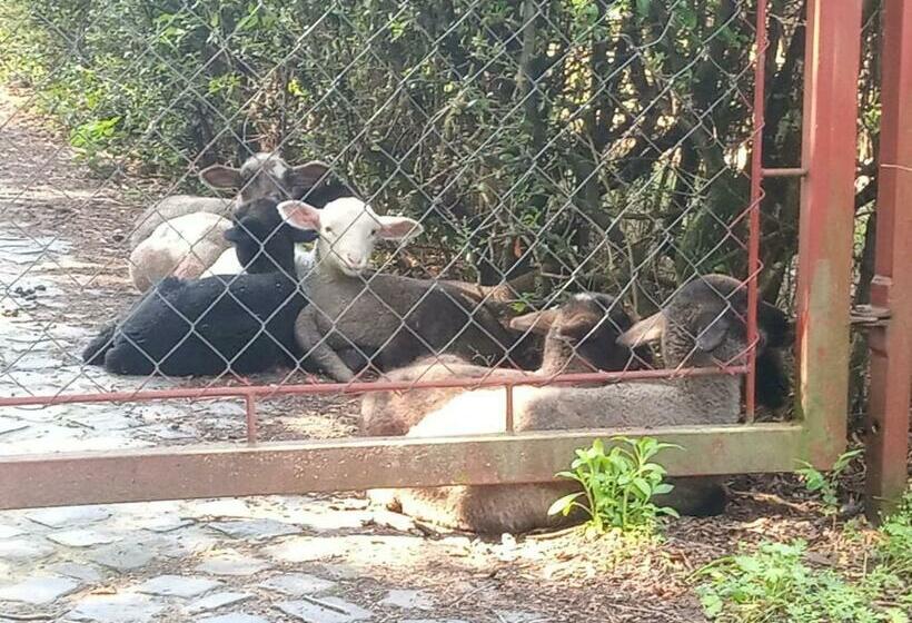 بنسيون Vendégház A Csabay Kúriához