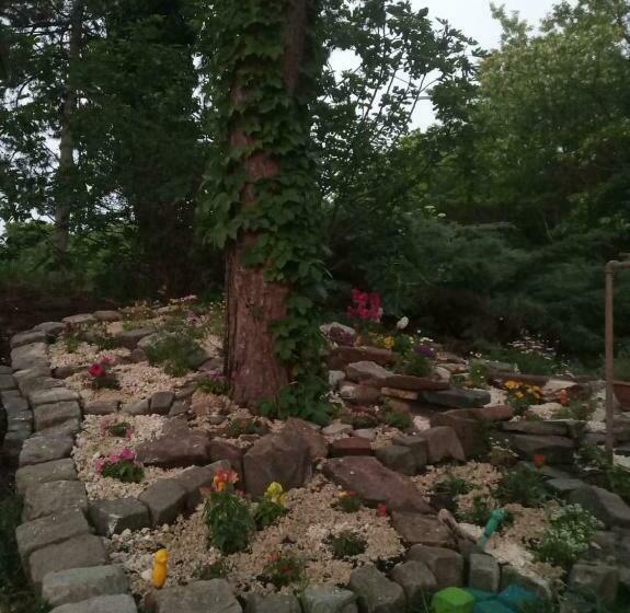 بنسيون Vendégház A Csabay Kúriához