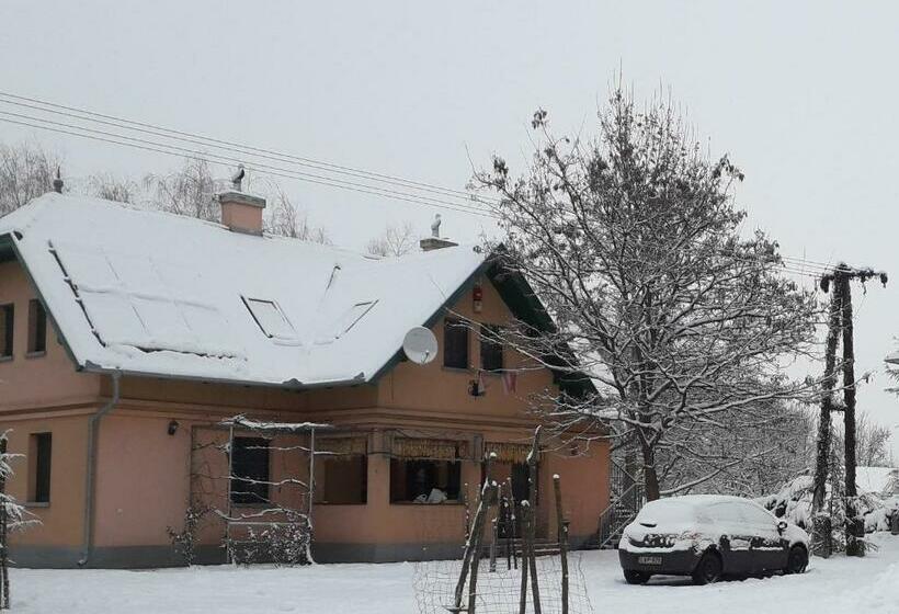 بنسيون Vendégház A Csabay Kúriához