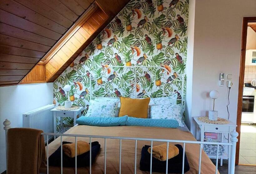 بنسيون Vendégház A Csabay Kúriához