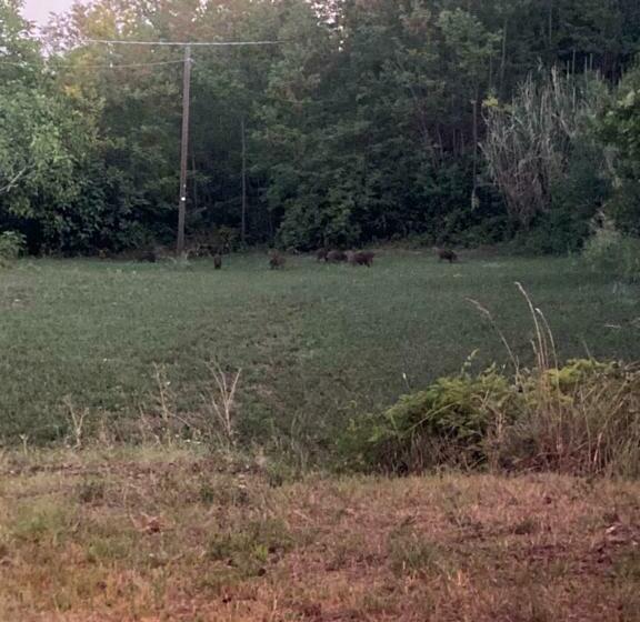 צימר Bed&breakfast La Ginestra