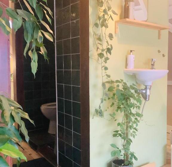 تختخواب و صبحانه Bookstor