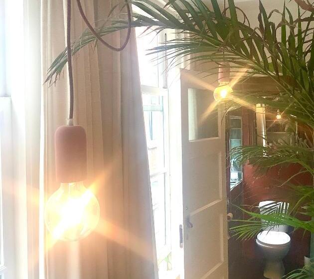 تختخواب و صبحانه Bookstor