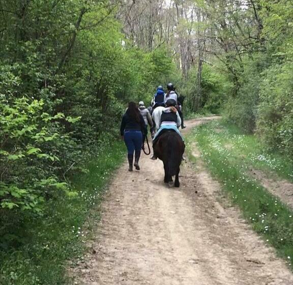 민박 Chambres D Hotes Labatut