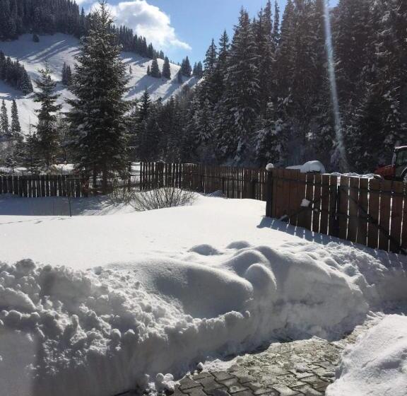 ベッドアンドブレックファースト Csángó Panoráma