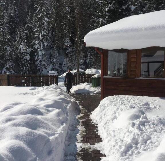 ベッドアンドブレックファースト Csángó Panoráma