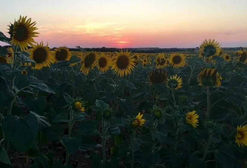 住宿加早餐  La Vieille Distillerie