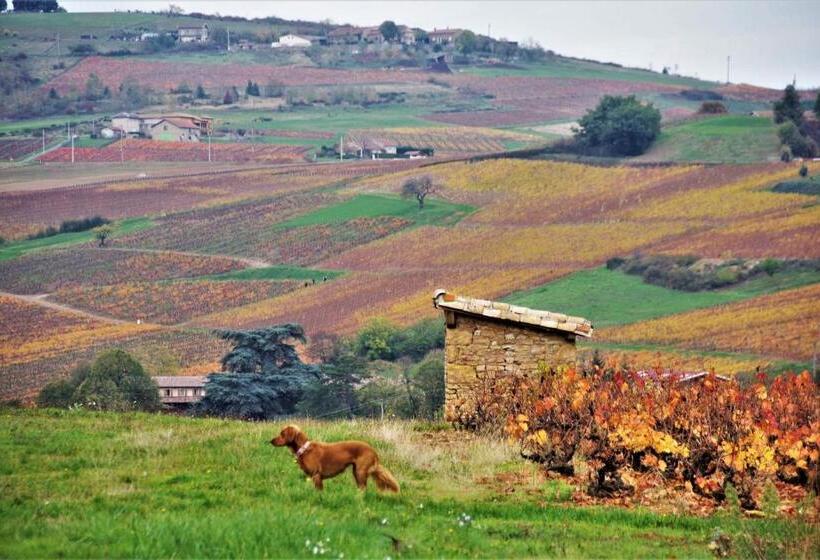 ベッドアンドブレックファースト Le Vieux Pont