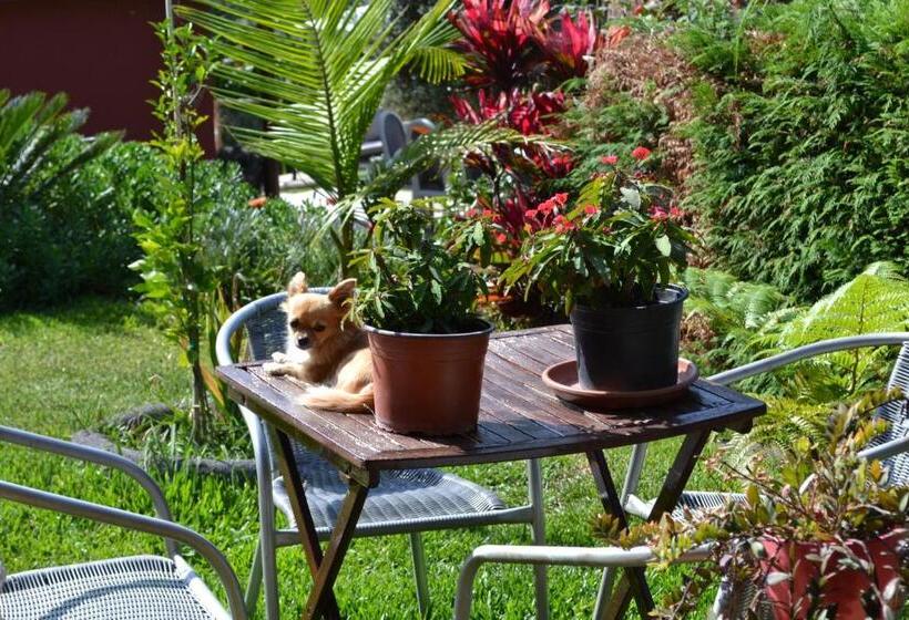 住宿加早餐  Maderedocevida