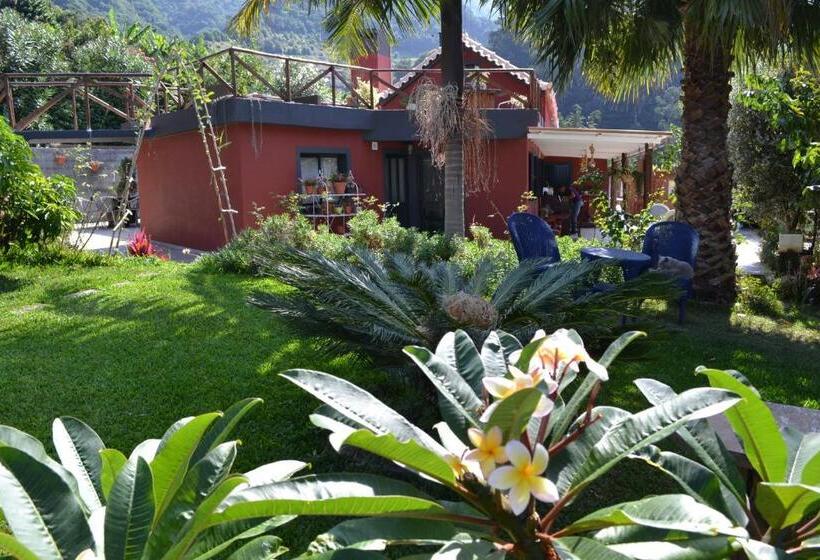 住宿加早餐  Maderedocevida