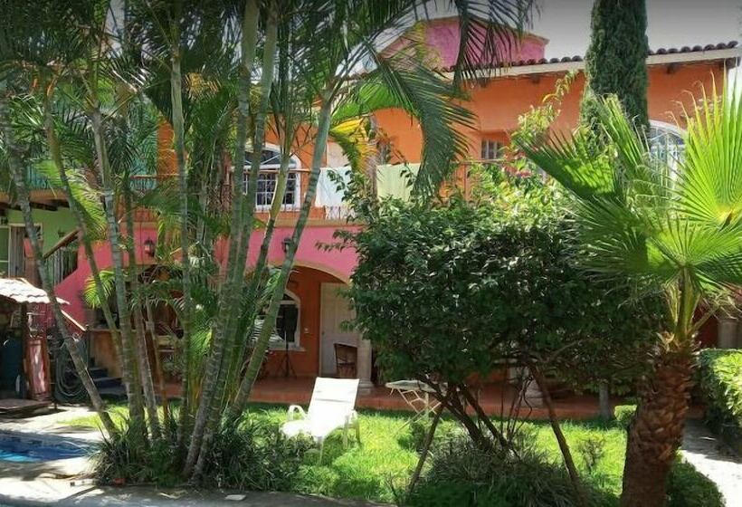 فندق Casa Corita