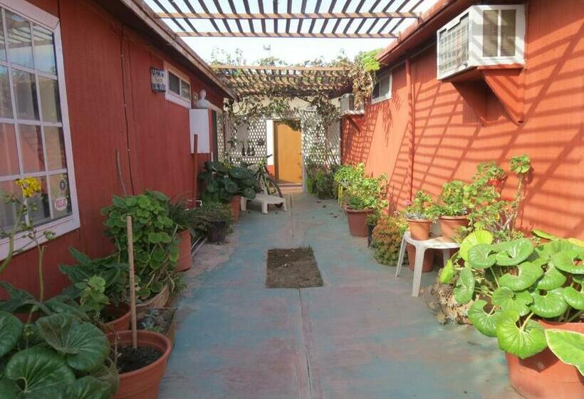 فندق Malarrimo By Rotamundos