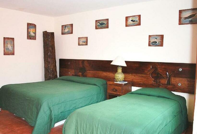 فندق Malarrimo By Rotamundos