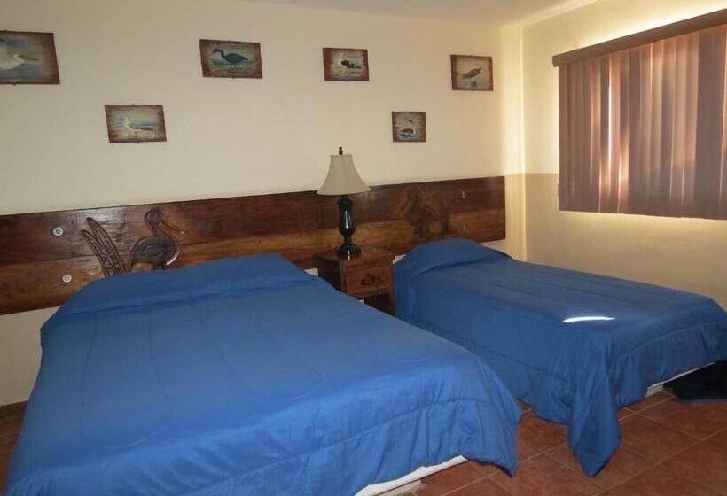 فندق Malarrimo By Rotamundos