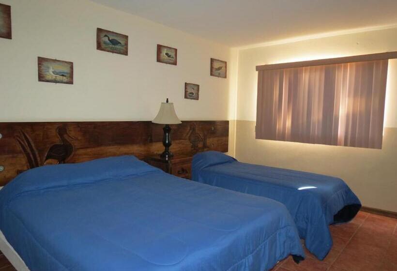 فندق Malarrimo By Rotamundos