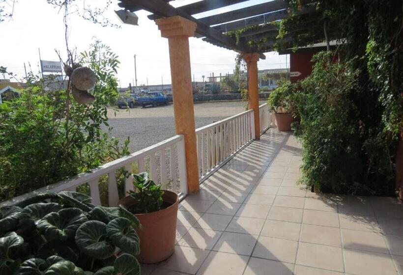 فندق Malarrimo By Rotamundos