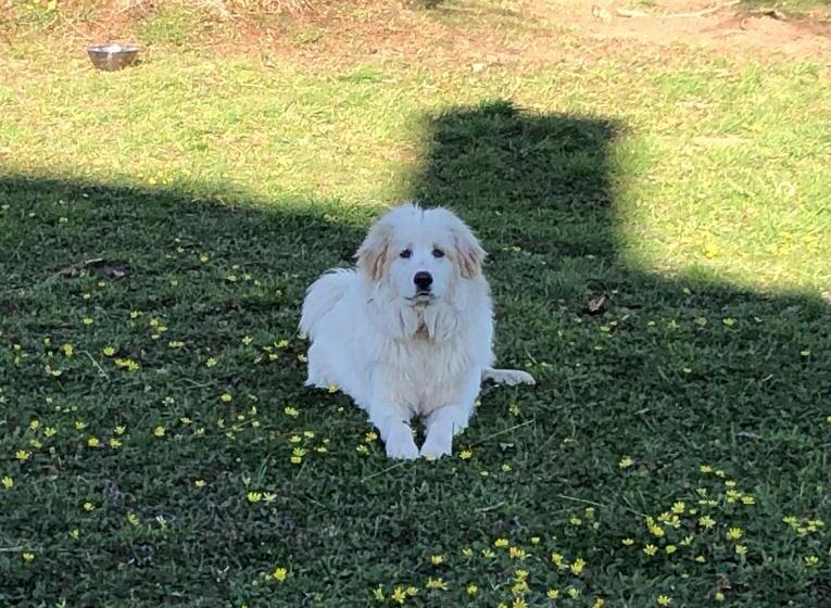 פנסיון Chambre Romantique Dans Le Château De La Bouchatte