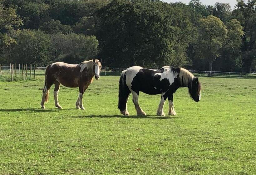 פנסיון Chambre Romantique Dans Le Château De La Bouchatte