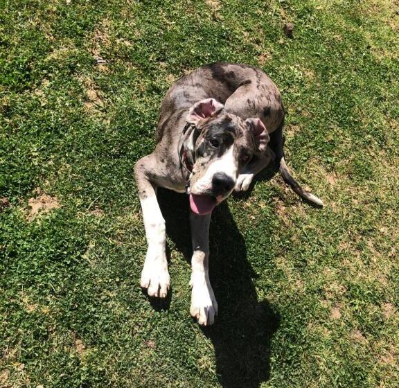 פנסיון Chambre Romantique Dans Le Château De La Bouchatte