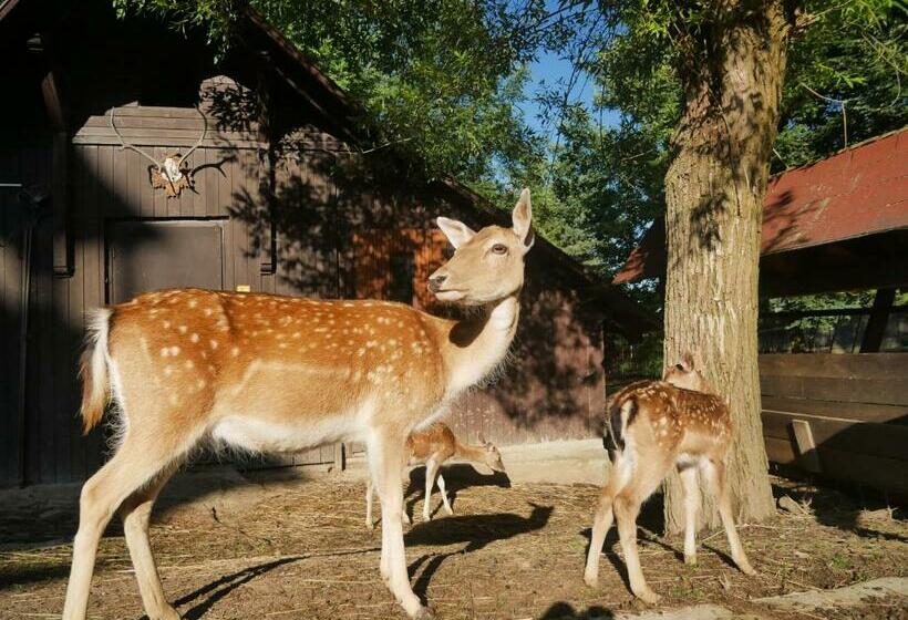 פנסיון Penzion Obora