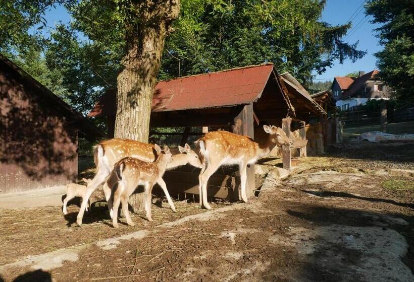 פנסיון Penzion Obora