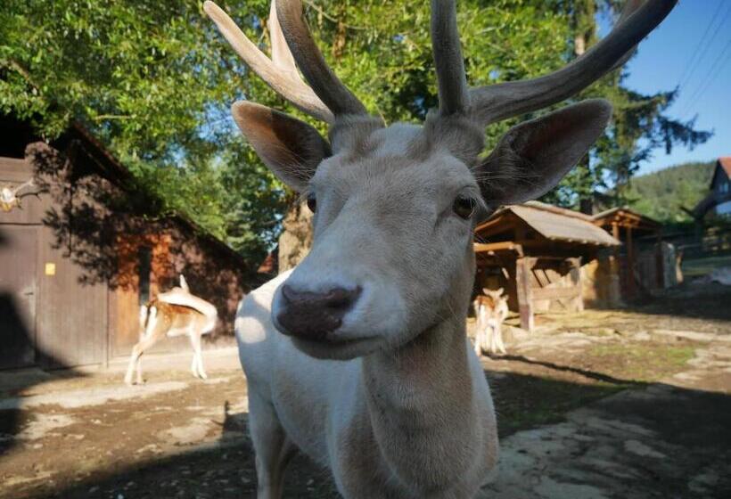 פנסיון Penzion Obora