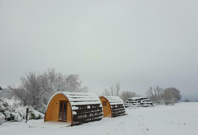 B&b La Ferme Du Château De Broich