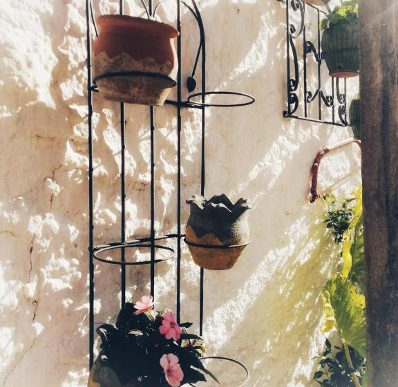 住宿加早餐  Casa Proyecto Pepe Bravo   Arte De Manos Y Corazón