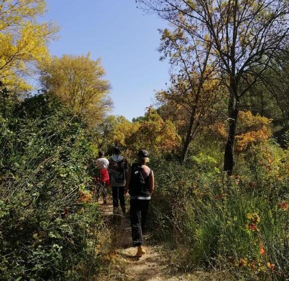 مبيت وإفطار Casa Proyecto Pepe Bravo   Arte De Manos Y Corazón