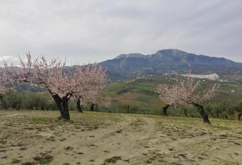 مبيت وإفطار Casa Proyecto Pepe Bravo   Arte De Manos Y Corazón