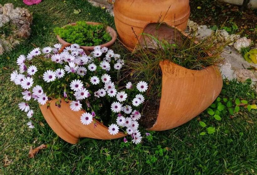 مبيت وإفطار Casa Proyecto Pepe Bravo   Arte De Manos Y Corazón