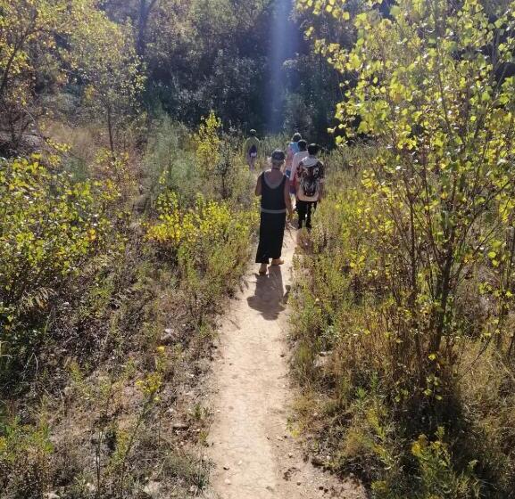 مبيت وإفطار Casa Proyecto Pepe Bravo   Arte De Manos Y Corazón