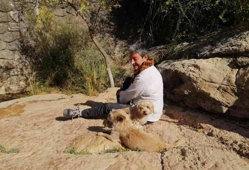 مبيت وإفطار Casa Proyecto Pepe Bravo   Arte De Manos Y Corazón