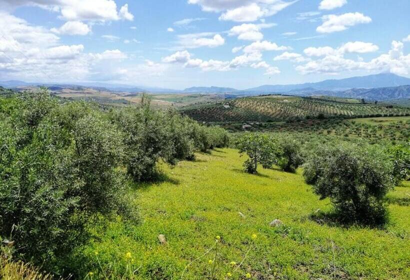 مبيت وإفطار Casa Proyecto Pepe Bravo   Arte De Manos Y Corazón