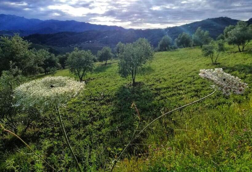 住宿加早餐  Casa Proyecto Pepe Bravo   Arte De Manos Y Corazón