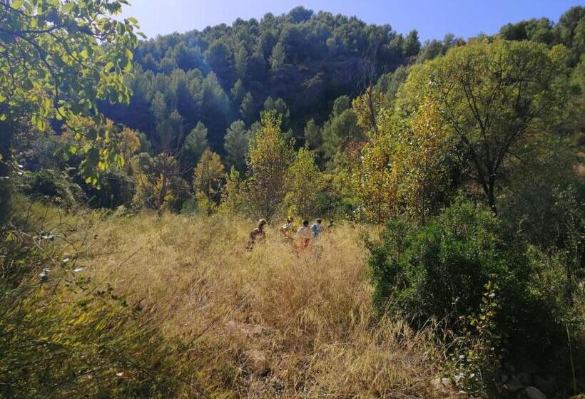 مبيت وإفطار Casa Proyecto Pepe Bravo   Arte De Manos Y Corazón