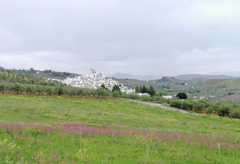 مبيت وإفطار Casa Proyecto Pepe Bravo   Arte De Manos Y Corazón